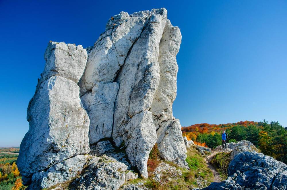 20. Skały Rzędkowickie, Skała Wysoka