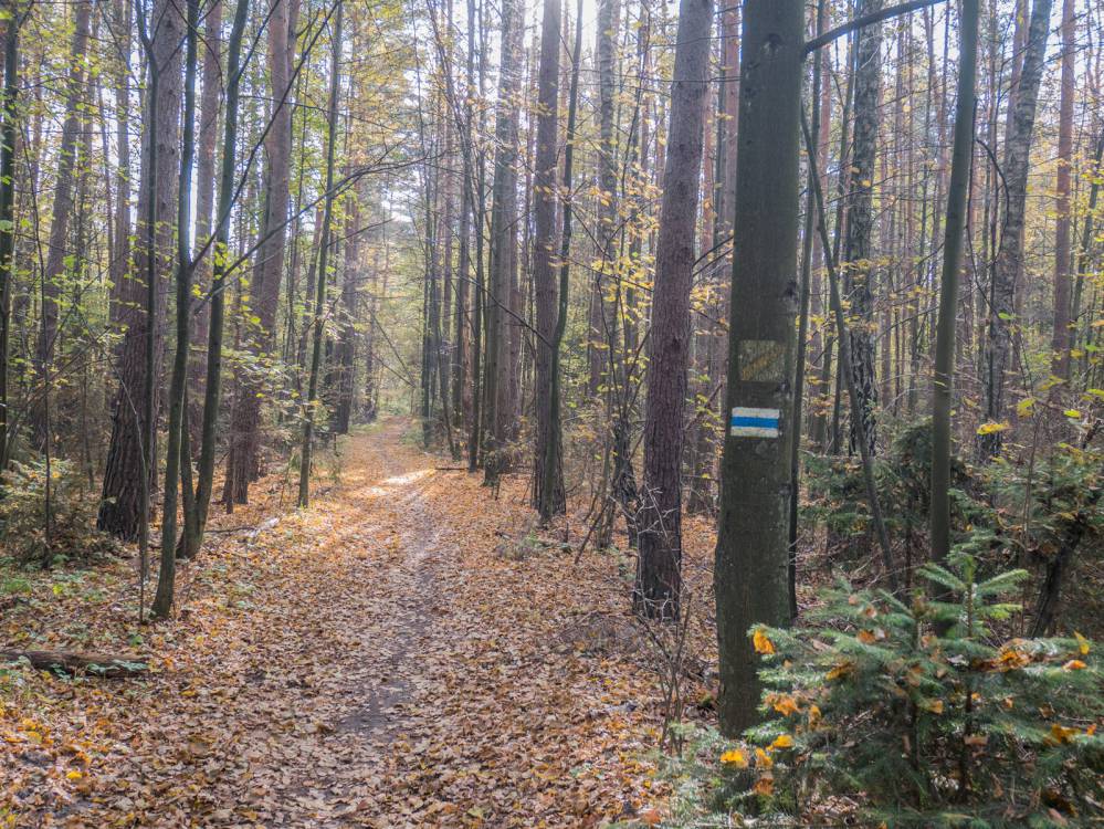 Niebieski szlak rowerowy Zawiercie - Ogrodzieniec