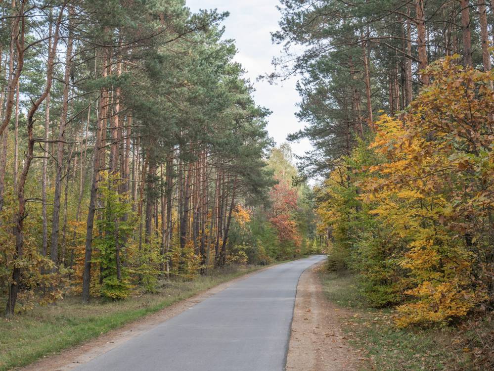 Niebieski szlak rowerowy Zawiercie - Ogrodzieniec