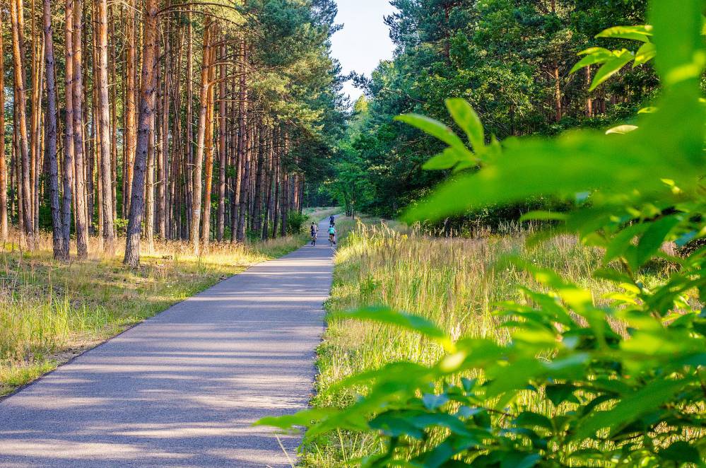 Gdzie na rower w Śląskim?