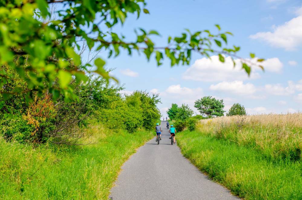 Trasy rowerowe w Gminie Żarki - Jura Krakowsko-Częstochow...
